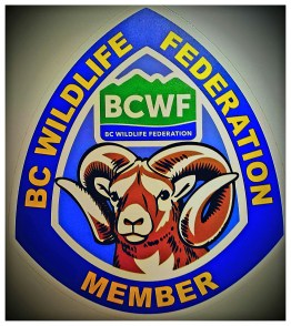 bcwf2